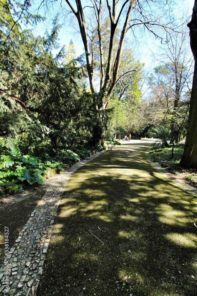 Leafy and green gardens at the Botanical Garden of Lisbon Leafy and green gardens at the Botanical Garden of Lisbon