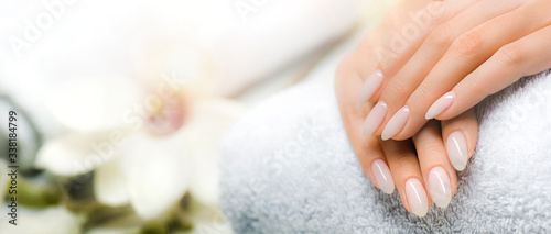 Fotografia, Obraz Manicured nails and Soft hands skin wide banner