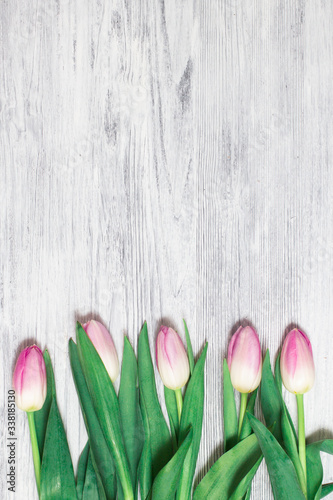 Fototapeta Naklejka Na Ścianę i Meble -  Beautiful pink tulips on wooden background. Copy space.