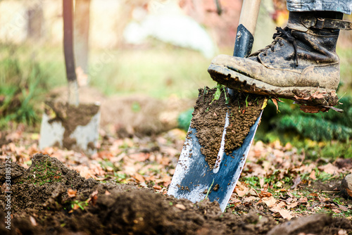 Man boot or shoe on spade prepare for digging. Farmer digs soil with shovel in garden photo