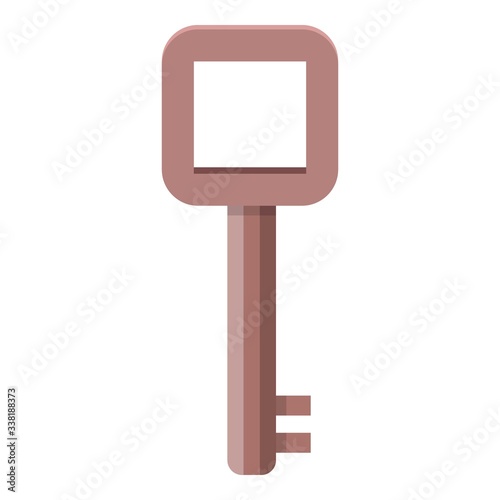 Old door key icon. Cartoon of old door key vector icon for web design isolated on white background