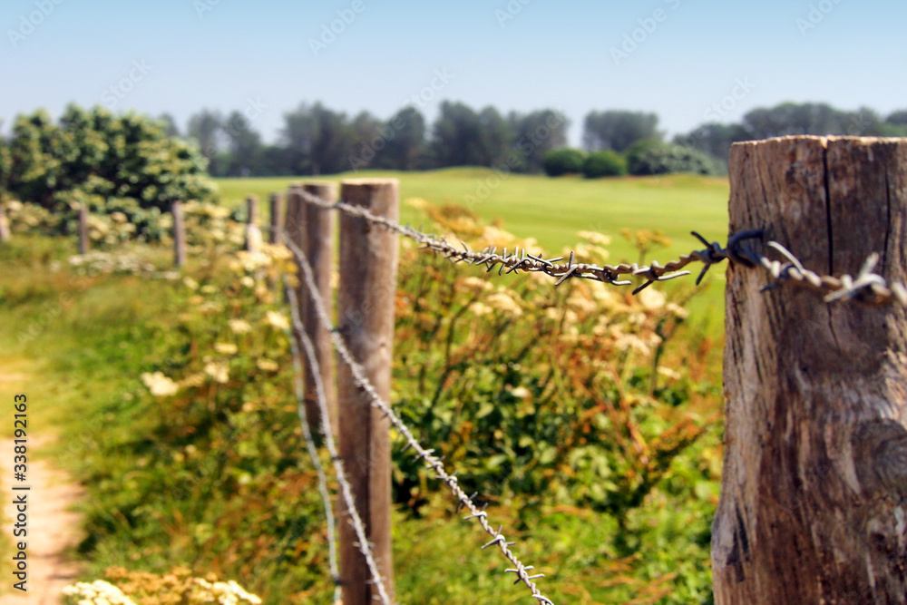 Farmland. Barbed wire fenced pasture, shallow depth of field Farmland. Barbed wire fenced pasture, shallow depth of field