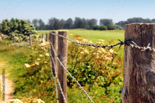 Farmland. Barbed wire fenced pasture, shallow depth of field
