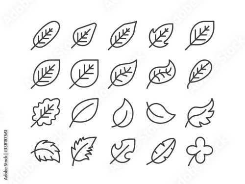Diagonal Leaf Outline line Icon Set Autumn fall and Spring Concept Minimal Style Illustration Vector EPS 10. Editable Stroke