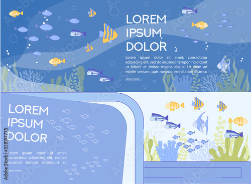 Aquarium Excursion to Underwater Ocean World Set