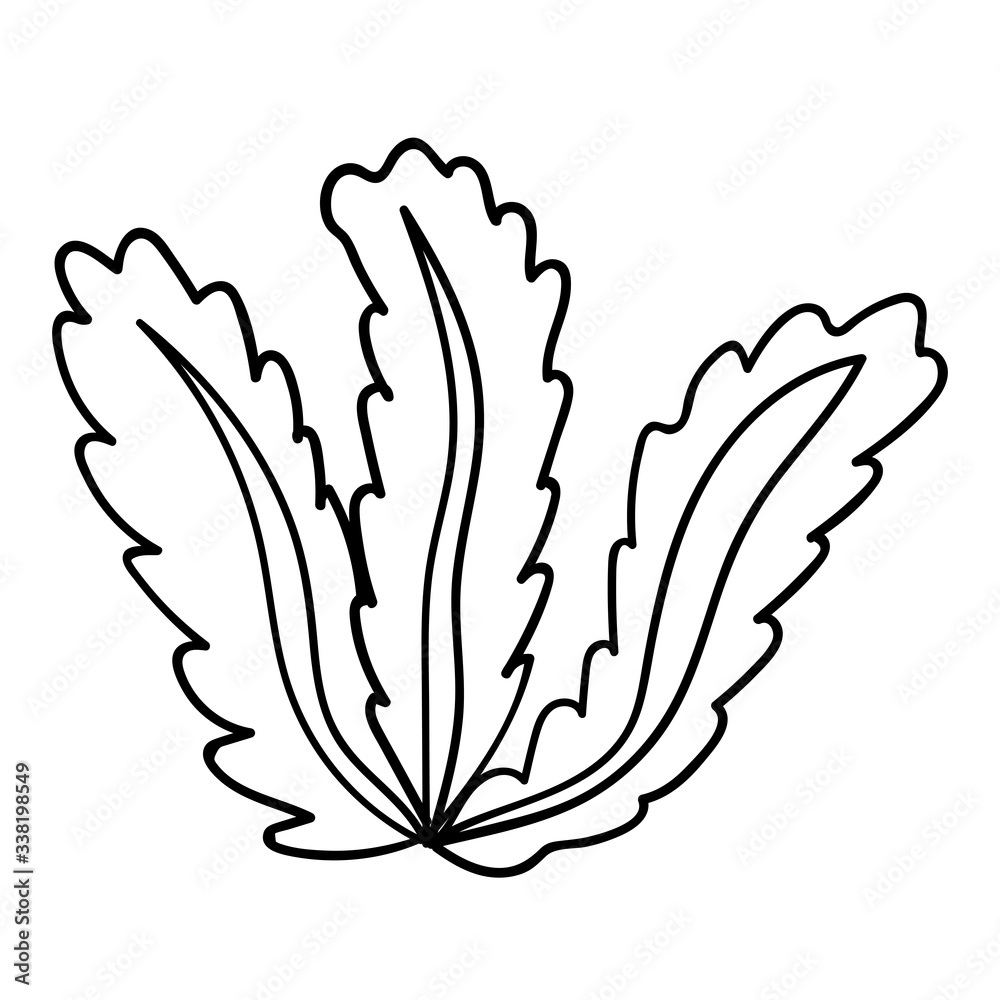 Cute cartoon doodle seaweed isolated on white background. Underwater nature. Vector illustration. Cute cartoon doodle seaweed isolated on white background. Underwater nature. Vector illustration.