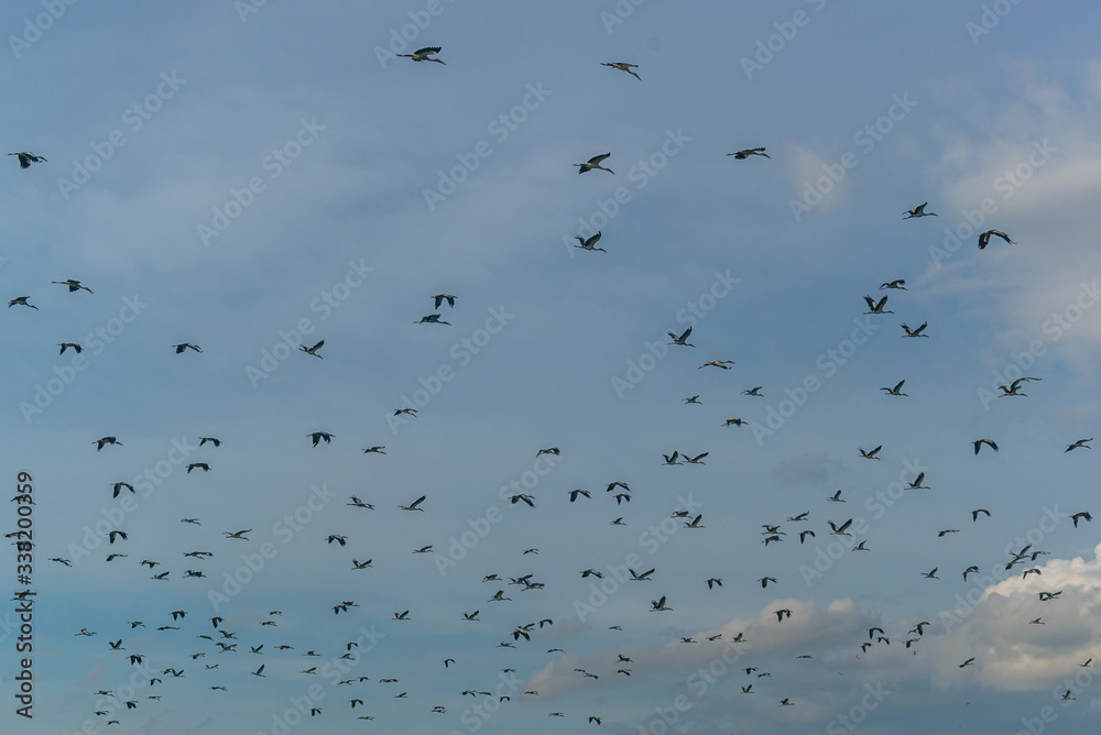 A flock of birds fly in the barren river around the lake.