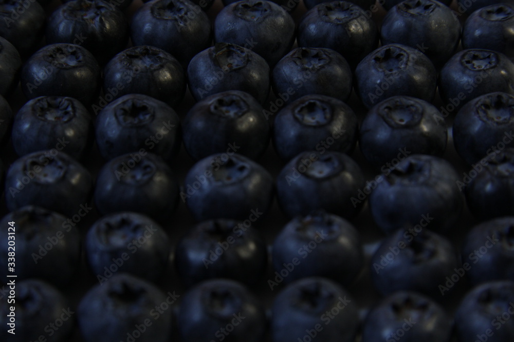 fresh blueberries in a bowl fresh blueberries in a bowl