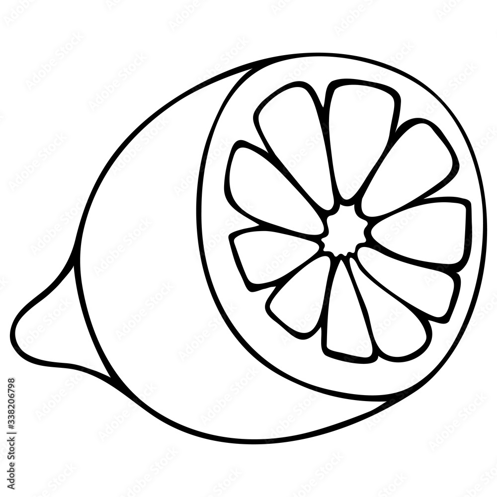 Lemon cutaway. The citrus fruit contains vitamin C. Tropical fruit. Vector illustration. Used in medicine and in cooking. Contour on an isolated background. Doodle style. Sketch. Lemon cutaway. The citrus fruit contains vitamin C. Tropical fruit. Vector illustration. Used in medicine and in cooking. Contour on an isolated background. Doodle style. Sketch.