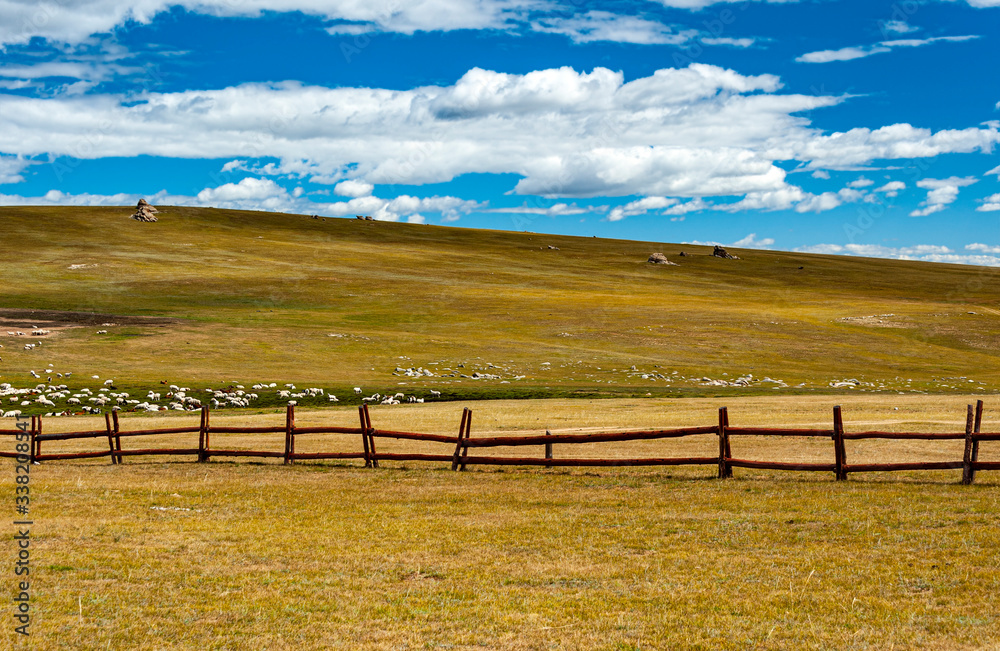 View of scenic Mongolian steppe, a homeland of Genghis Khan and nomadic traditions