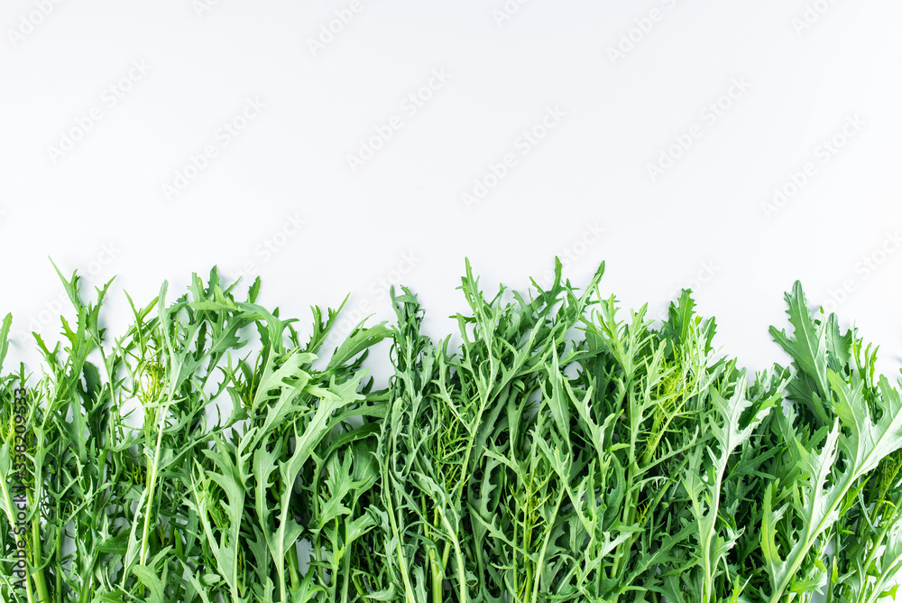 Fresh green vegetables red on white background Fresh green vegetables red on white background