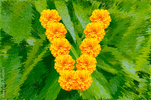 Spring Flower Letter V concept using Marigold. Marigold flower alphabet on white background.