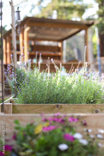Backyard Raised Herb Garden