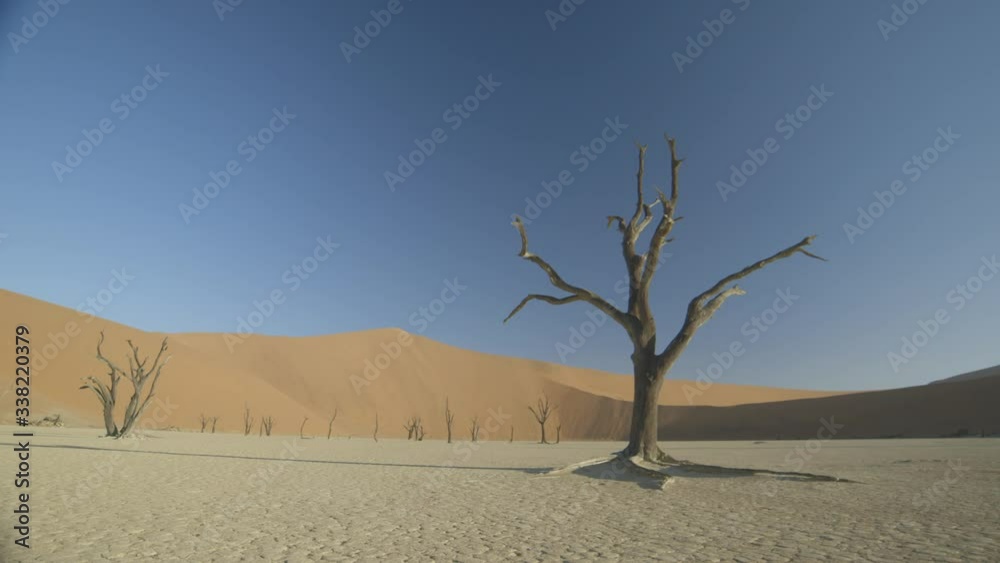 The dramatic landscape of the deadvlei found in the sossusvlei region of Namibia. The dramatic landscape of the deadvlei found in the sossusvlei region of Namibia.