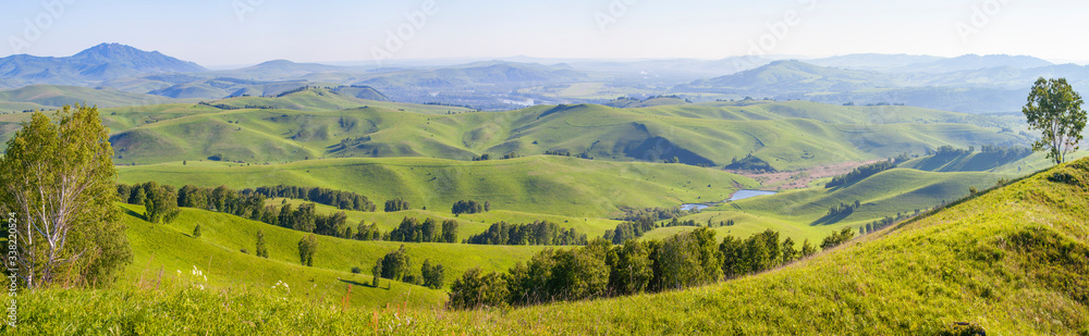 Green hills, meadows and trees. Sunny summer day, countryside. Panoramic view.
