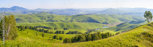 Green hills  meadows and trees. Sunny summer day  countryside. Panoramic view.