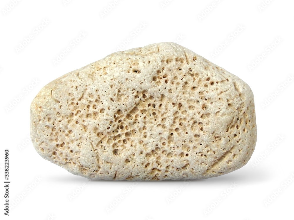 Closeup of natural white pumice stone from geological collection isolated with shadow, real rock Closeup of natural white pumice stone from geological collection isolated with shadow, real rock