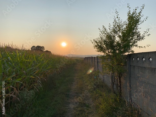 sunset over the river