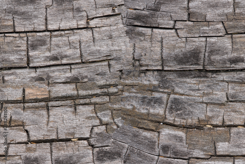 Fototapeta premium Very old wood, seamless texture.