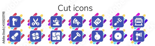 Modern Simple Set of cut Vector filled Icons