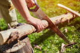 Sawing dry logs for firewood with a hand saw