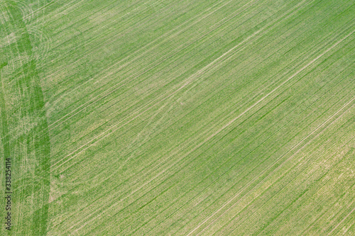 green agricultural field from above. natural pattern. top view aerial photo from flying drone