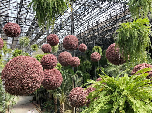 PATTAYA,THAILAND - January 28,2020 : The sky Garden at Nong Nooch tropical garden in Thailand.