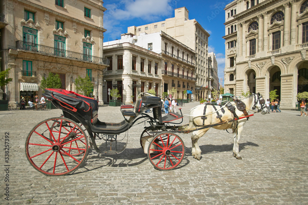 Fototapeta premium A horse and carriage in the plaza of Old Havana, Cuba