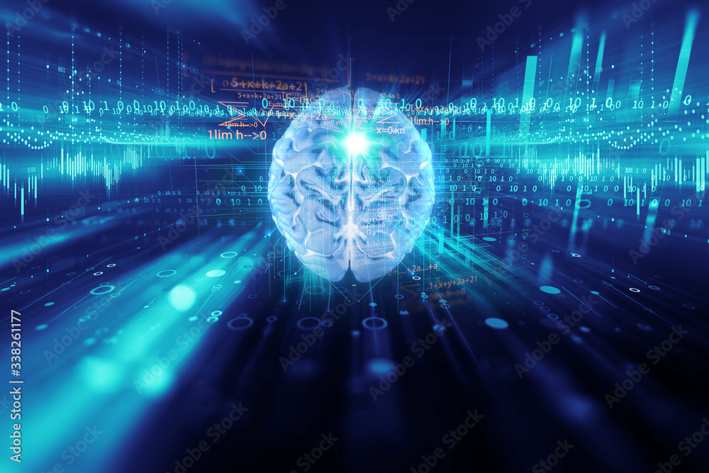3d rendering of human brain on programming language background 3d rendering of human brain on programming language background