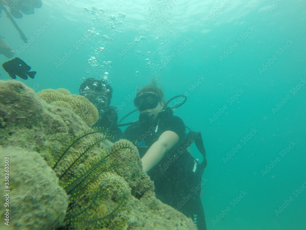 Fototapeta premium Bunch of scuba divers under water
