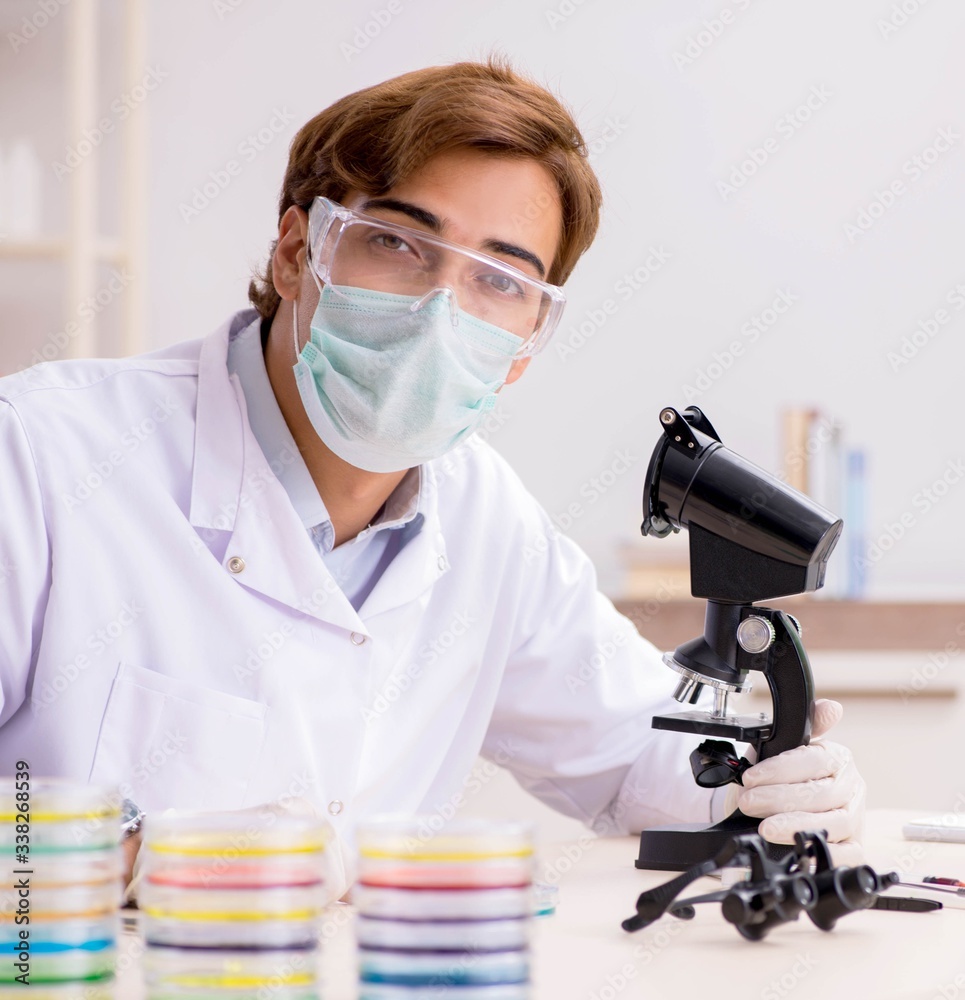 Young chemist working in the lab Young chemist working in the lab