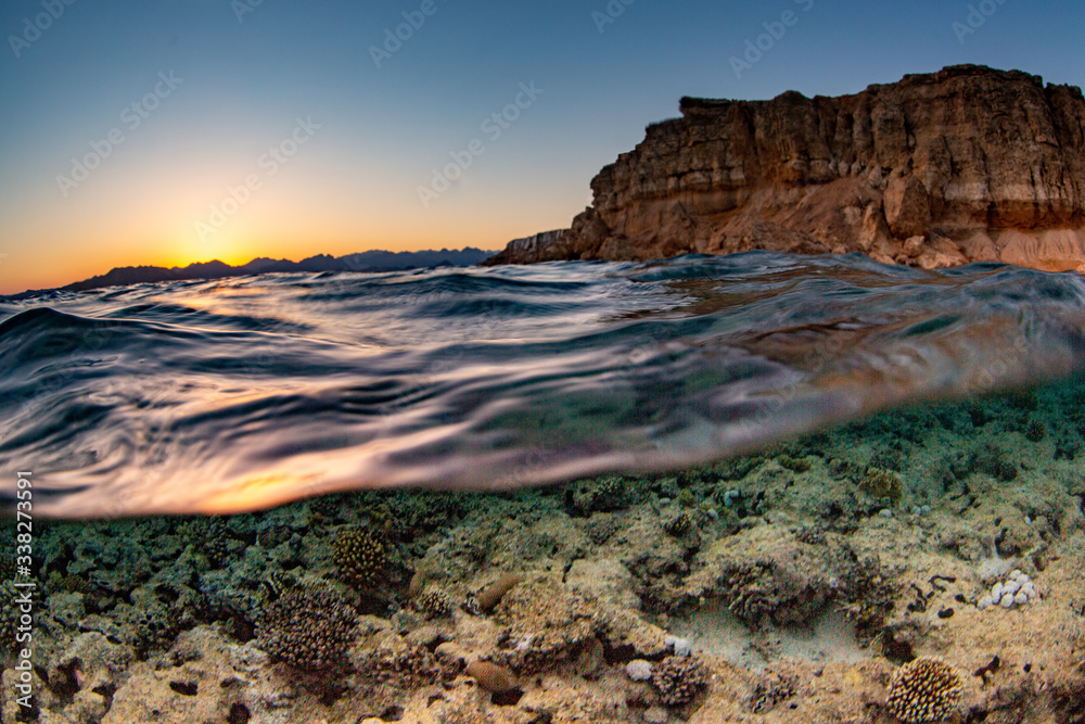 Fototapeta premium coral reef