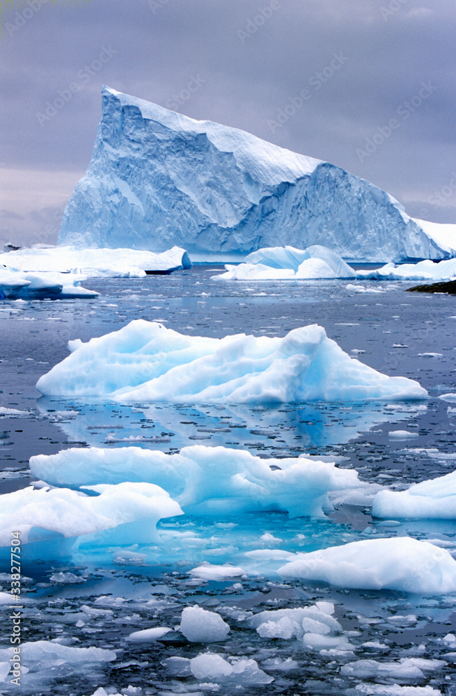 Icebergs in Paradise Harbor, Antarctica