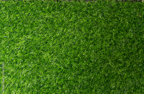 Blurred green grass flooring