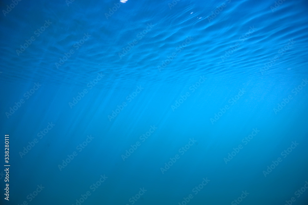 lake background water underwater abstract / fresh water diving background nature underwater ecosystem background lake background water underwater abstract / fresh water diving background nature underwater ecosystem background