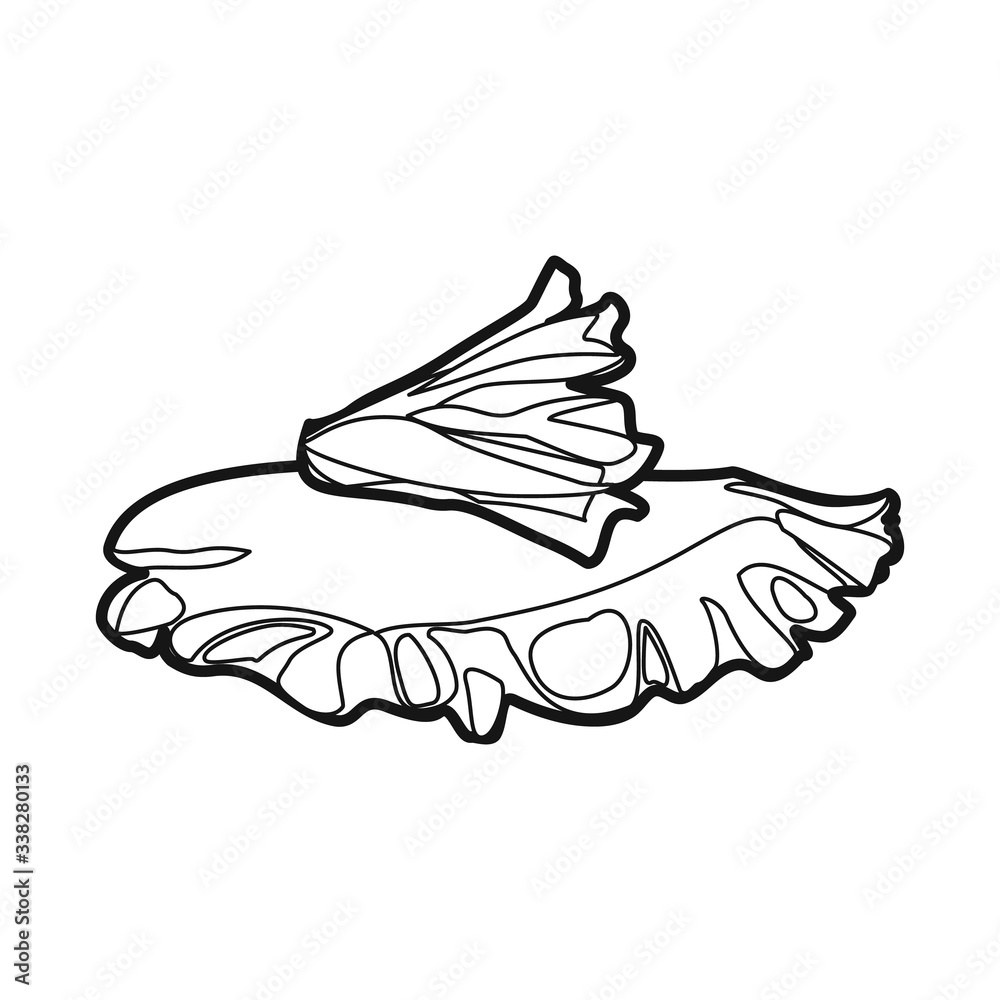 Isolated object of lettuce and leaf sign. Web element of lettuce and diet stock vector illustration. Isolated object of lettuce and leaf sign. Web element of lettuce and diet stock vector illustration.