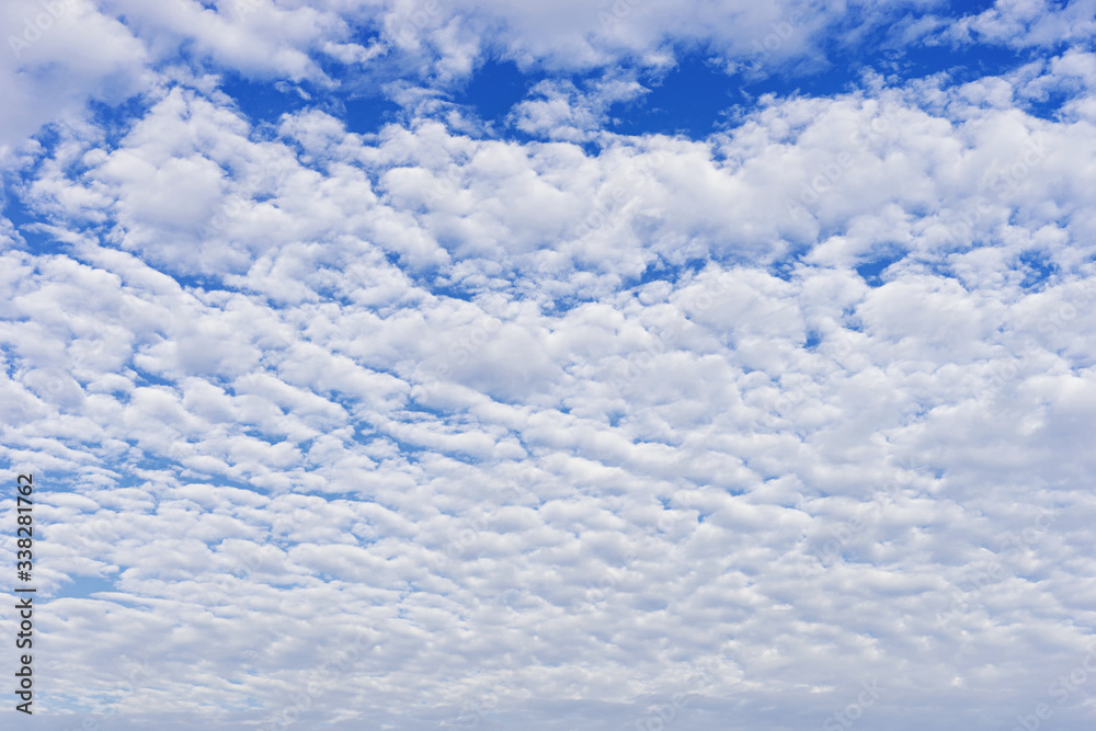 Fototapeta premium Cloudscape with altocumulus clouds, Altocumulus middle-altitude cloud in stratocumuliform - natural background