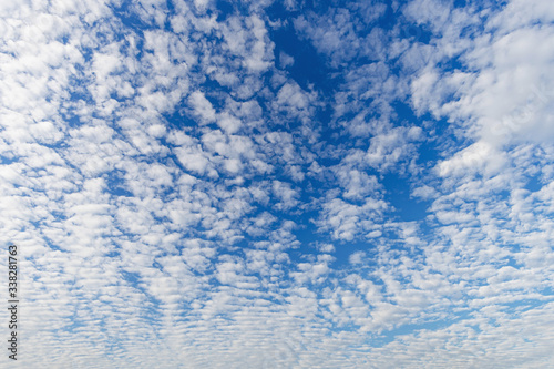 Cloudscape with altocumulus clouds, Altocumulus middle-altitude cloud in stratocumuliform - natural background