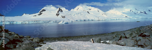 Panoramic view of Chinstrap penguin (Pygoscelis antarctica) among rock formations on Half Moon Island, Bransfield Strait, Antarctica photo