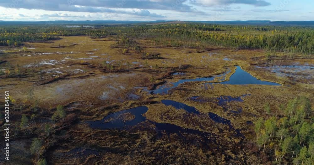 Lapland swamp, Aerial, drone shot, over arctic wetlands, trees and a bog, at golden hour, in Lappland, Sweden Lapland swamp, Aerial, drone shot, over arctic wetlands, trees and a bog, at golden hour, in Lappland, Sweden