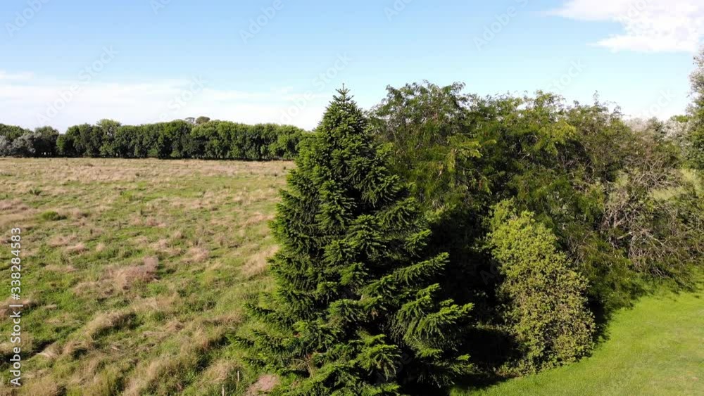 Beautiful wild landscape on sunny day. Aerial circle pan focusing a conifer Beautiful wild landscape on sunny day. Aerial circle pan focusing a conifer