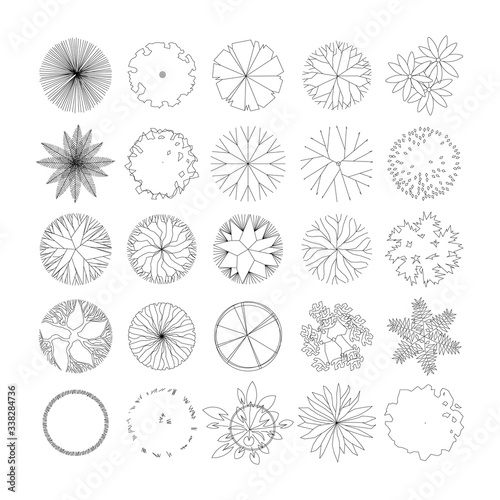 Top view and side view  set of graphics trees elements outline symbol for architecture and landscape design drawing. Vector illustration