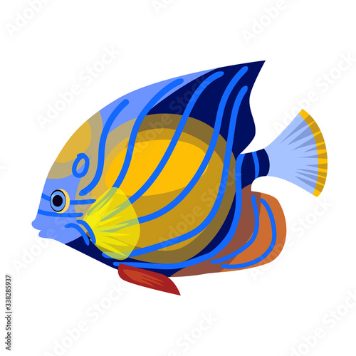 Tropical fish vector icon.Cartoon vector icon isolated on white background tropical fish.