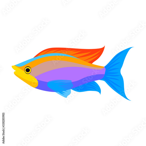 Tropical fish vector icon.Cartoon vector icon isolated on white background tropical fish.