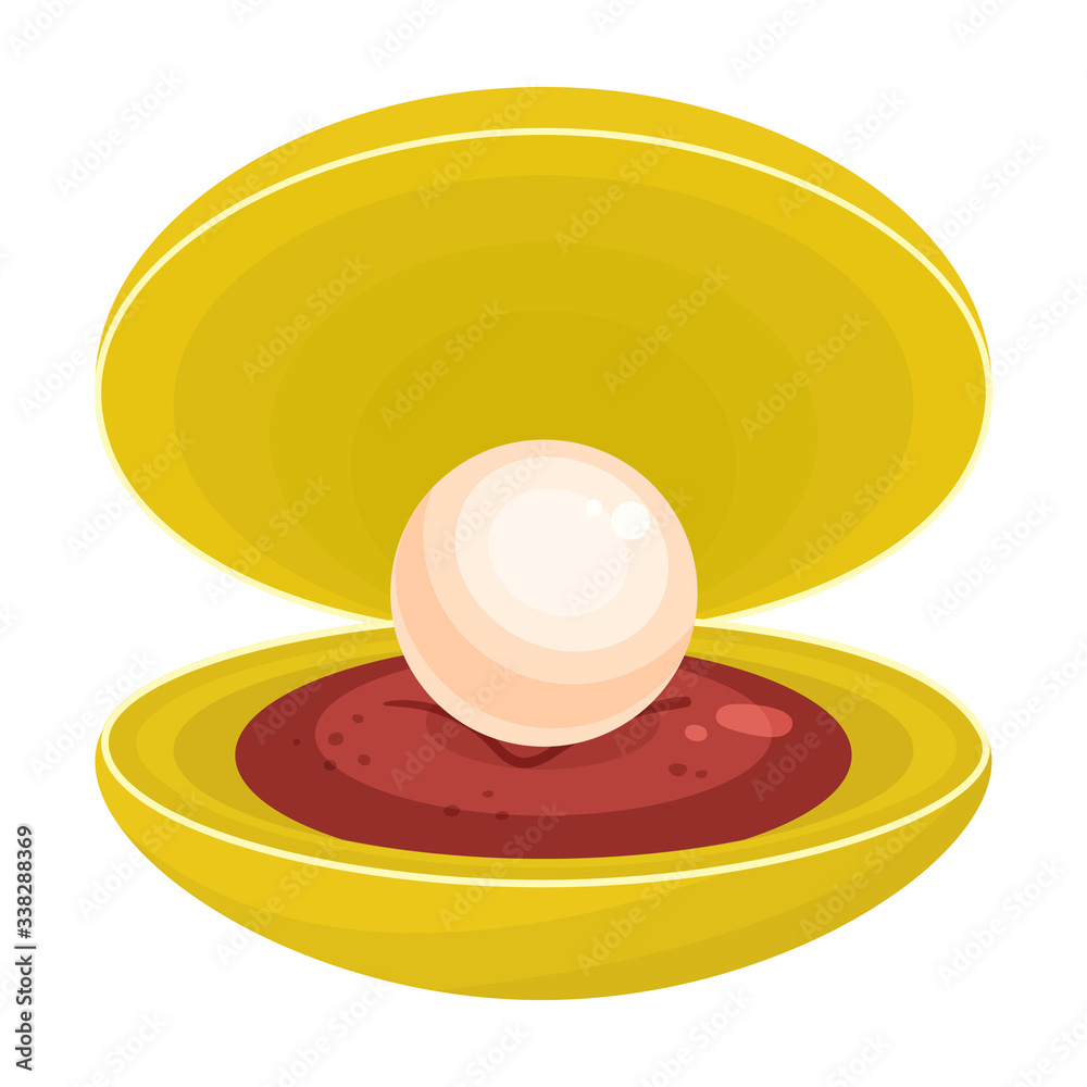 Pearl shell vector icon.Cartoon vector icon isolated on white background pearl shell. Pearl shell vector icon.Cartoon vector icon isolated on white background pearl shell.