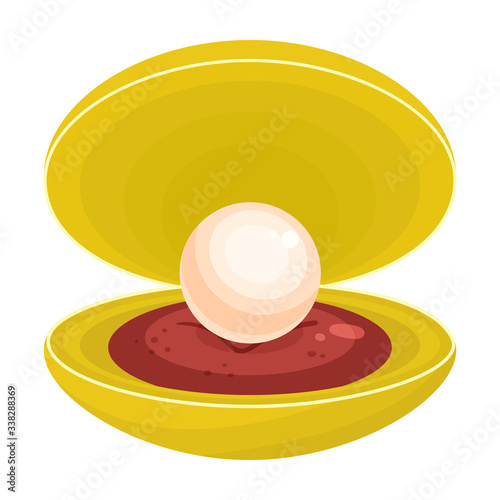 Pearl shell vector icon.Cartoon vector icon isolated on white background pearl shell.