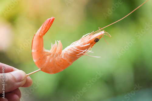 shrimp skewers in hand and nature background Seafood shelfish Shrimps Prawns