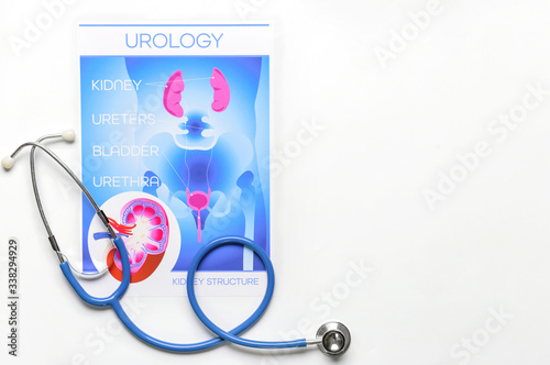 Picture of urogenital syste...