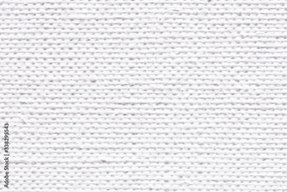 Canvas natural background for your personal design work.