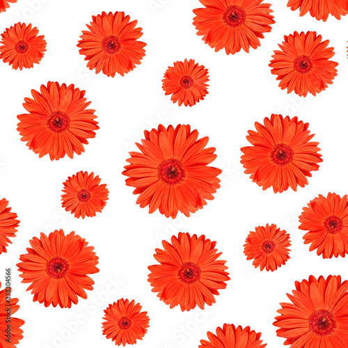Seamless texture made of red gerber flowers on white background. Minimal floral natural pattern. © Olya